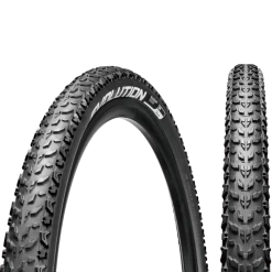 Chaoyang Dæk 24x1.95 Evolution Trådkant